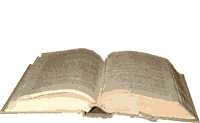 Das Buch
